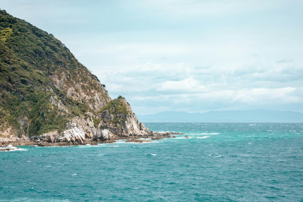 網代浜